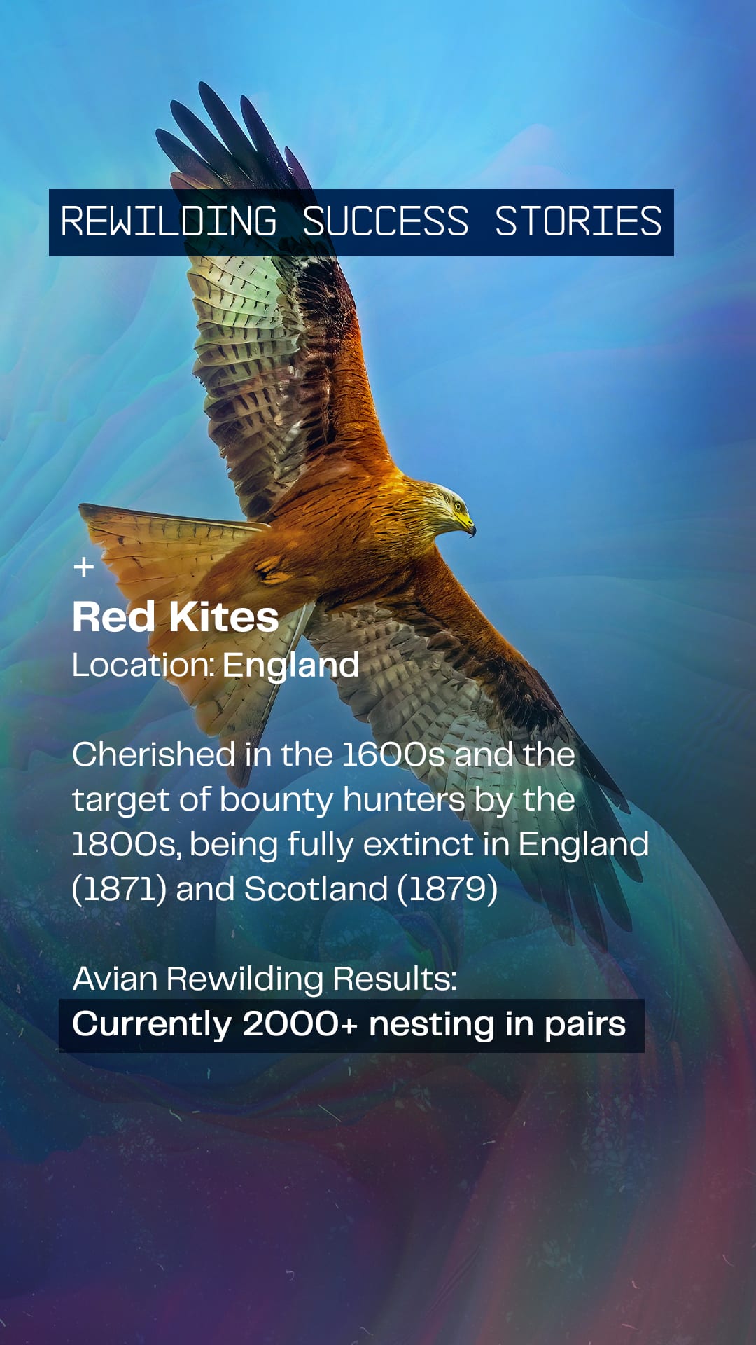 COL-Disruptive-Conservation-IG-Story-Frame 3