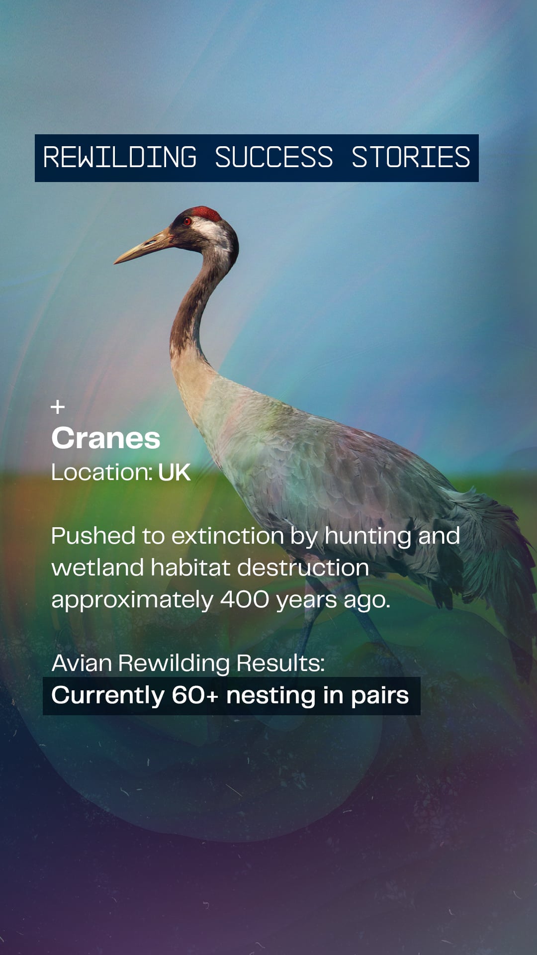 COL-Disruptive-Conservation-IG-Story-Frame 4