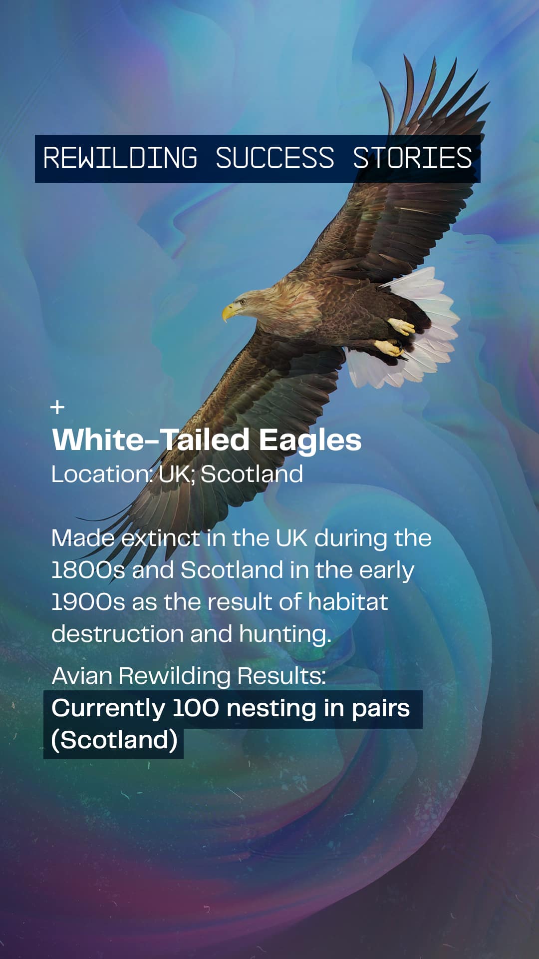 COL-Disruptive-Conservation-IG-Story-Frame 5