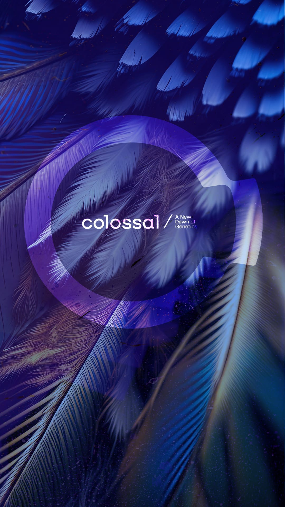 COL-Disruptive-Conservation-IG-Story-Frame 7