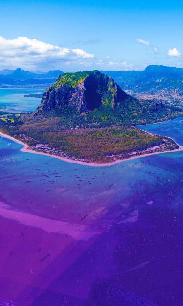 Work-Grid-colossal-dodo-2