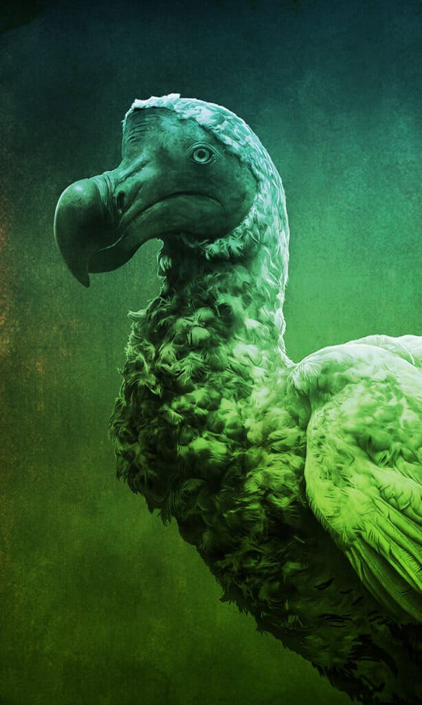 Work-Grid-colossal-dodo-5