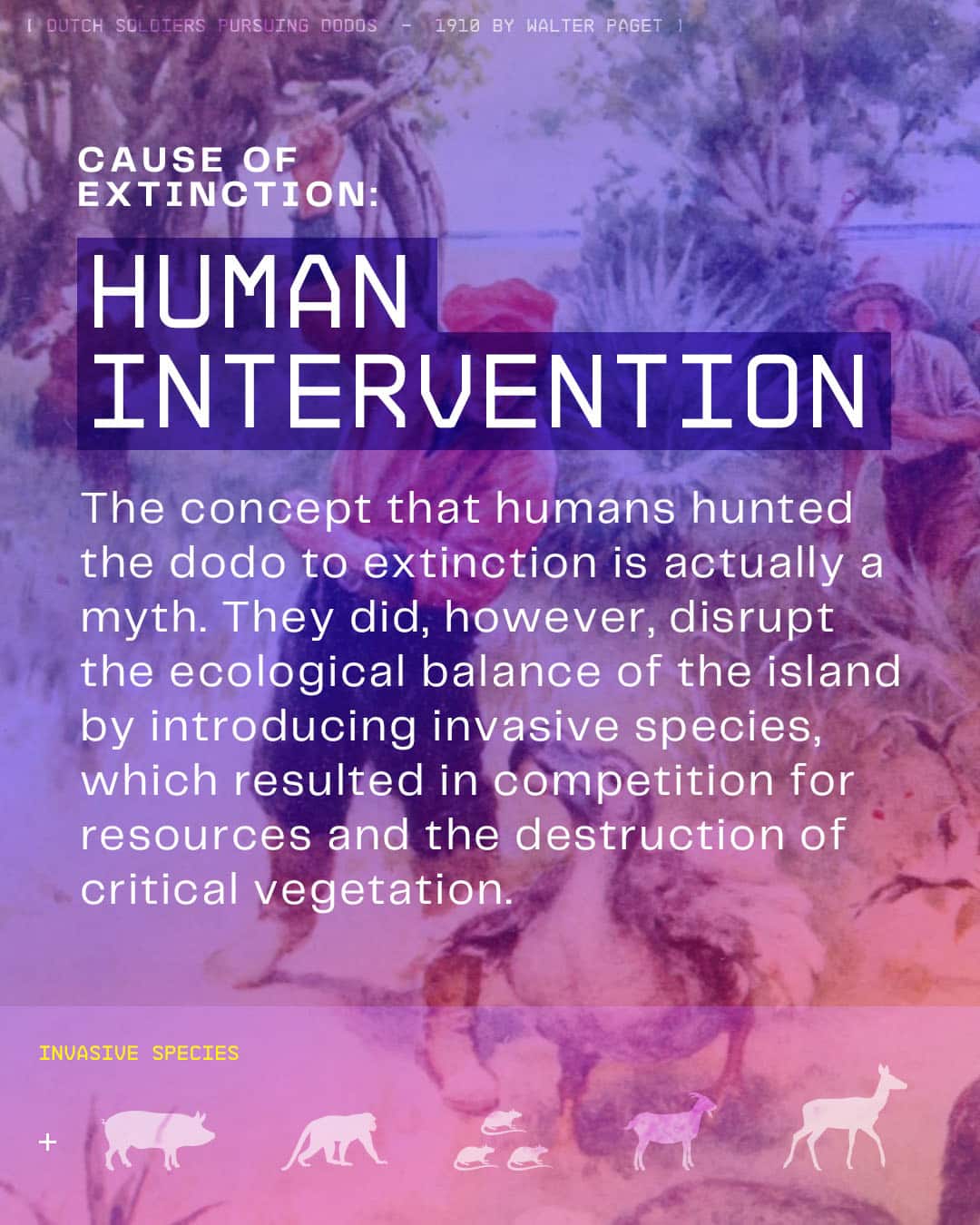 c-dodo-what-we-know-5