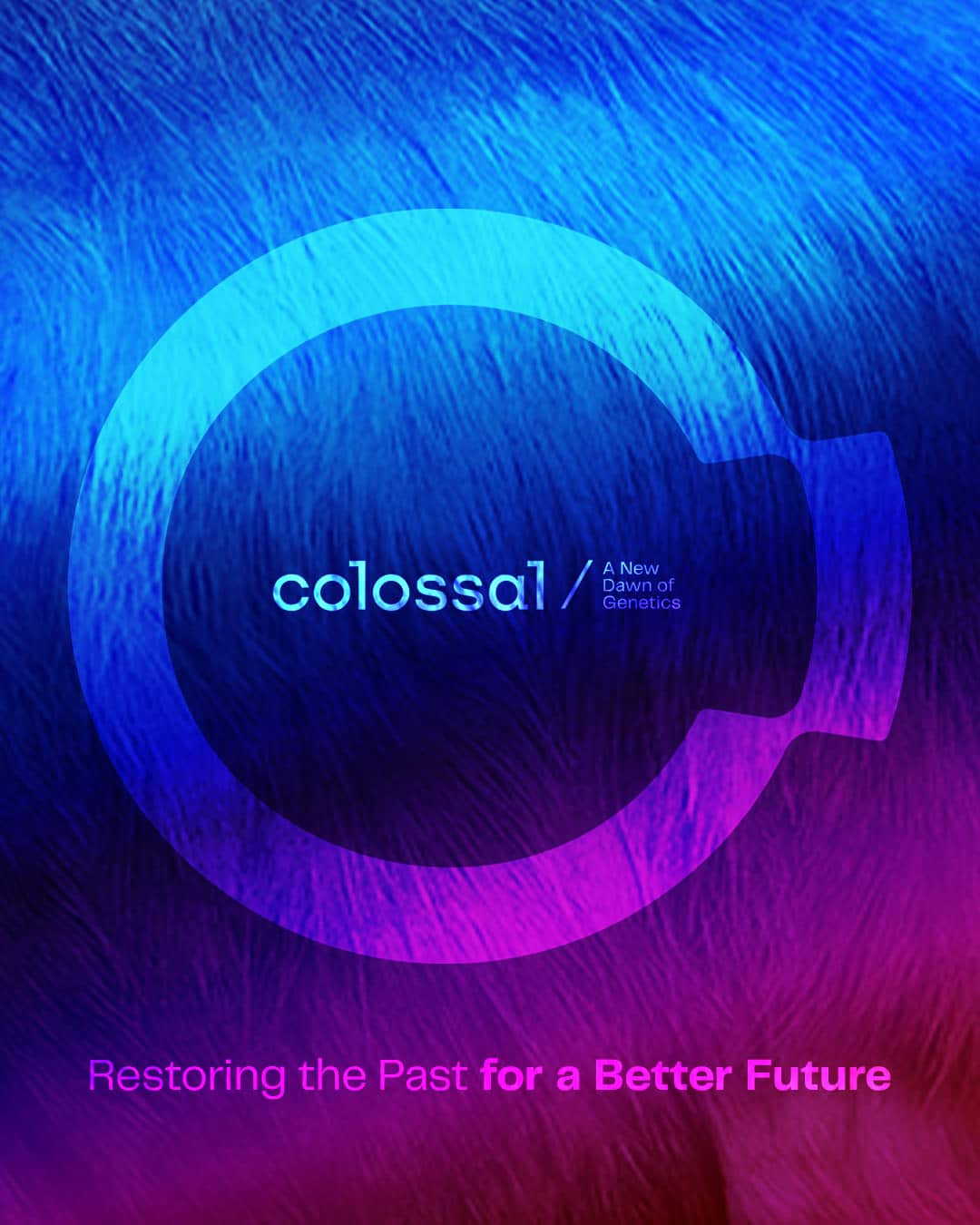 c-dodo-what-we-know-7